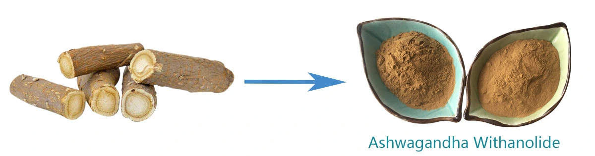 Ashwagandha Withanolide S.jpg
